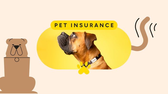 Pet Care Insurance